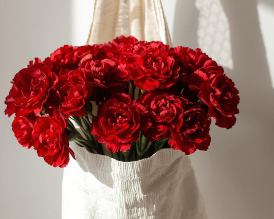 Bouquet of red carnations in a clear vase against a neutral background